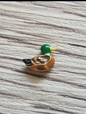 🦉HTF Mallard Duck Charm